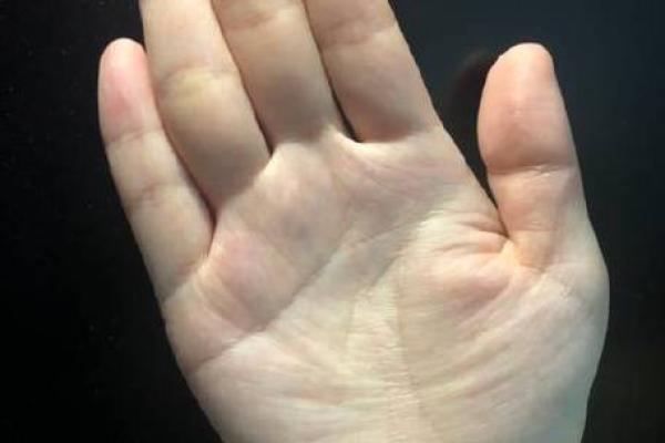 探索手相中间的线，解密你的人生轨迹
