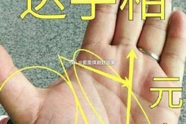 看面相手相，揭示你的人生运势与性格特点