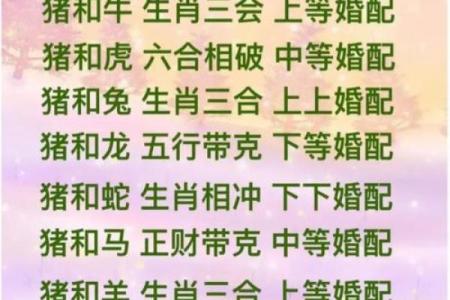 属龙与属狗的配对关系：长久幸福的可能性有多大