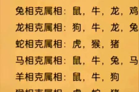 鼠兔配对是否合适？揭秘生肖组合的相生相克