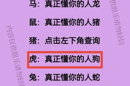属虎男和属猴女的恋爱匹配度分析