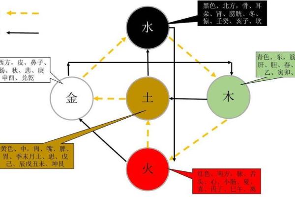 柏字五行属性解析及其与命理的关系