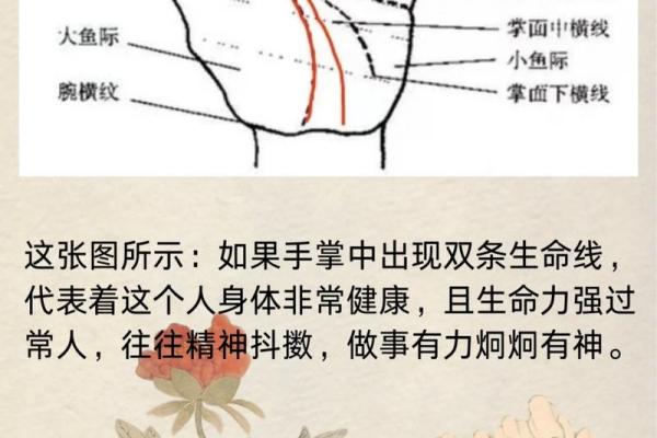 易经与手相的奥秘：如何通过手相解读命运的密码
