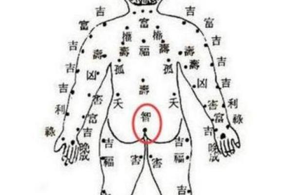 从八字看女人是否过硬的五个标志
