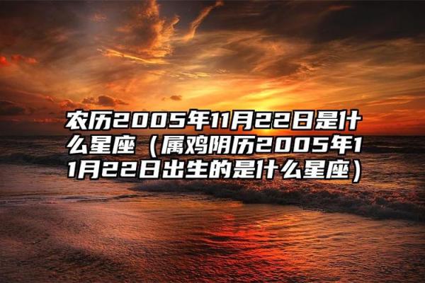 美国神婆星座运势网独家预测：从星座看生活运程