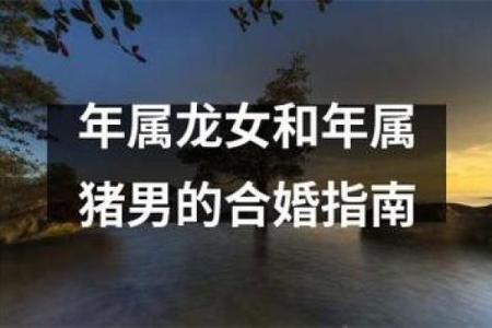 属龙男与属猴女的性格匹配度：理想情侣还是难以共处？