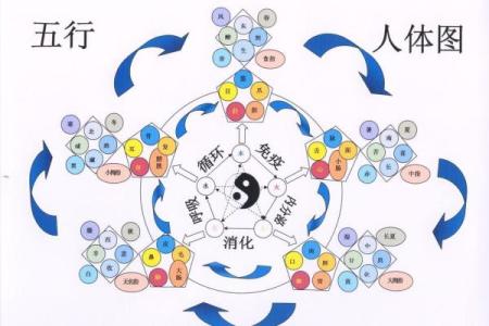 玄空命理中的五行调和与命运走势
