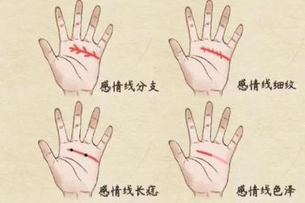 幸运手相解读：如何通过手相识别你的好运气