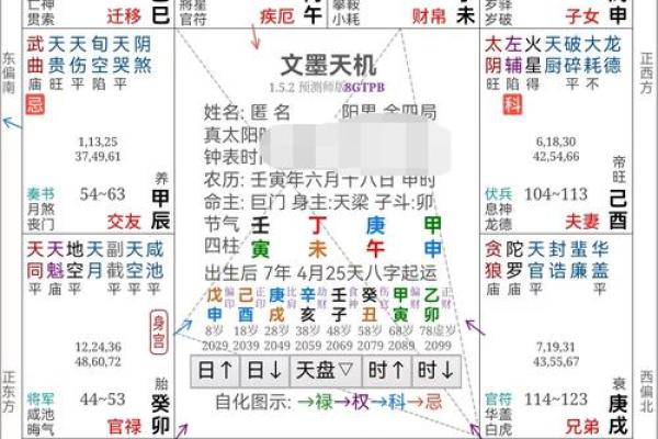 八字地支的深层含义与命运解析