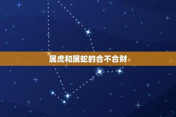 属蛇与属虎的配对分析：优势与挑战