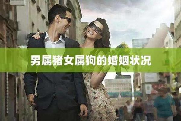 属猪女与属狗男在一起怎么样？看性格差异与互补之处