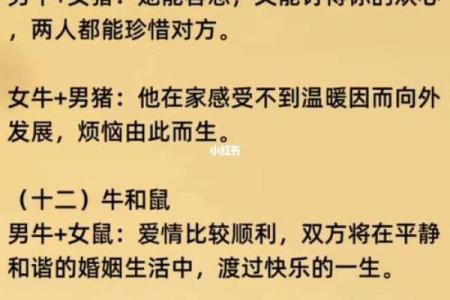 属狗和属猴的爱情配对：优势与挑战并存