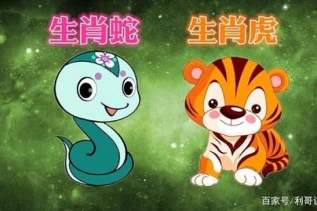 属蛇与属虎的配对分析：优势与挑战