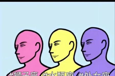 狮子座与处女座的性格差异与互补性