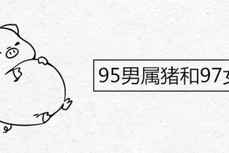 属牛和属猪是否相配？分析他们的爱情与性格关系
