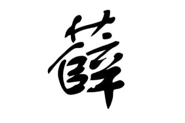 如何为薛姓男孩猴年宝宝起个有寓意的名字