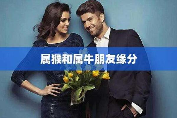 属猴男与属猴女的缘分解析：彼此的优势与挑战