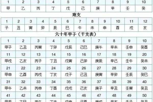 运用天干地支纪历解读未来趋势与命运走向