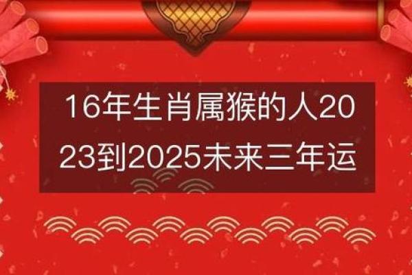 出生的属猴命理运势详解