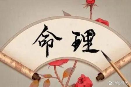 探索女人命运中的乾造特征