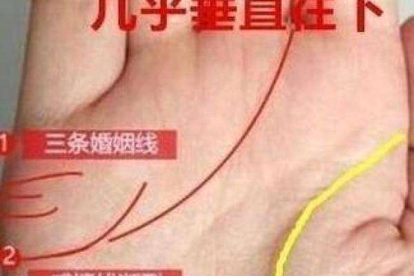 探索手相中的双鱼纹与命运的关系