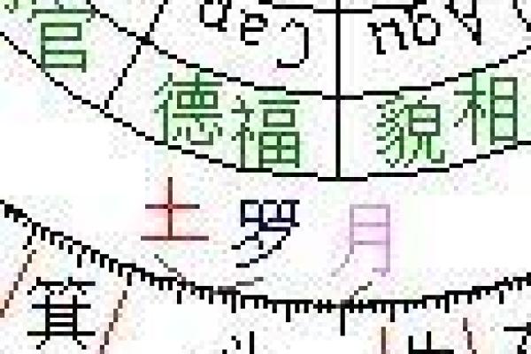 七政四余排盘软件助力精准命理分析与预测