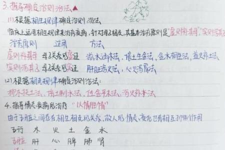 五行学说的基本概念与应用解析