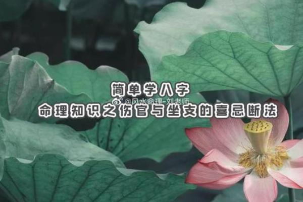 借助命理刘老师的知识，掌控你的命运之舵