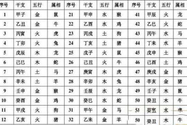 属鼠人的五行属性解析与命理影响