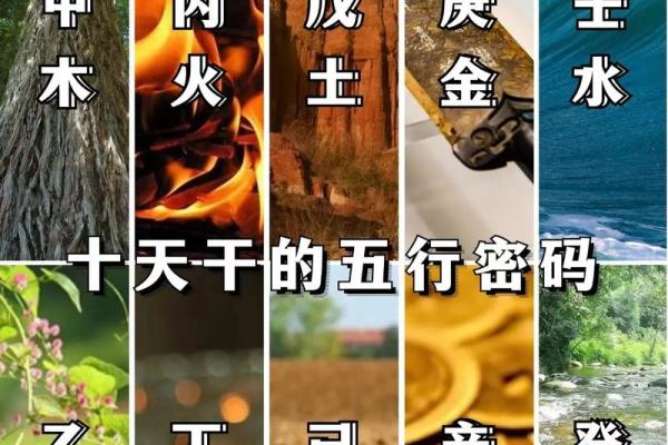 命理相合的重要性：如何通过五行找到最佳伴侣