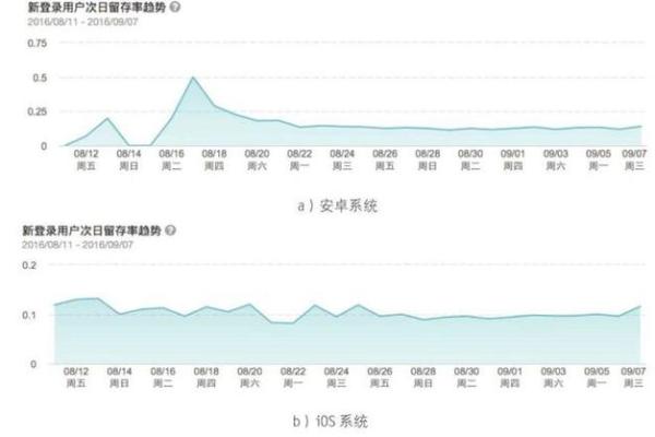 掌握网站排盘，精准提升网站流量与转化率