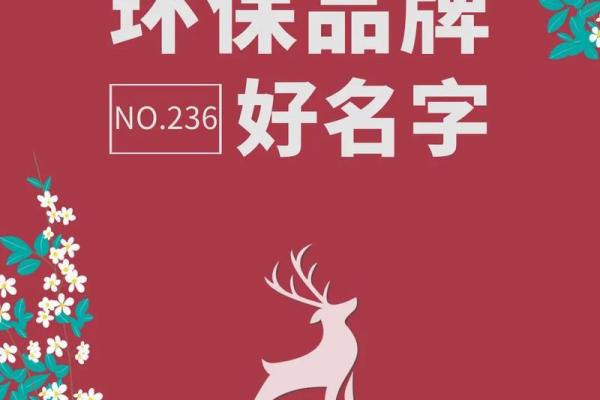 公司命名宝典：打造独特品牌的实用指南
