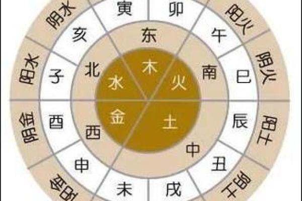 天干合的人性格特点与命运解析