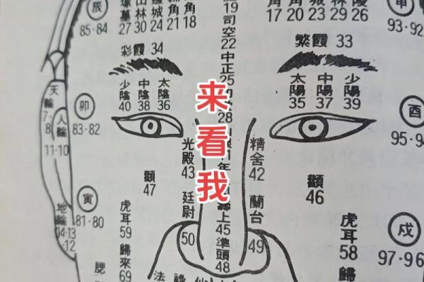面相与性格的关系：揭示你面部的秘密
