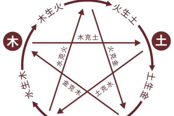从五行入手，探寻你的命理优势与挑战