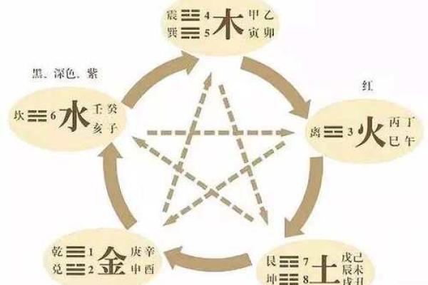 美五行属于哪个类别分析及其文化背景