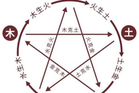 从五行入手，探寻你的命理优势与挑战