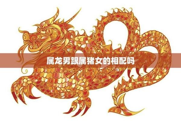 属猪女与属鸡男的相配情况：性格冲突与和谐共存