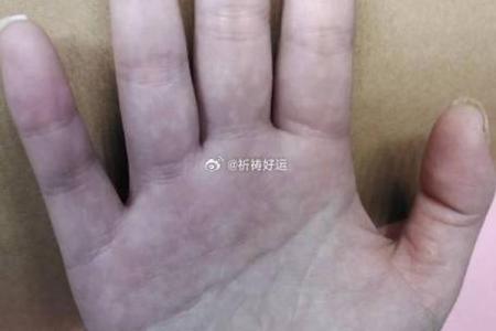 爪子手相解析：如何通过手掌线条识别个性与命运