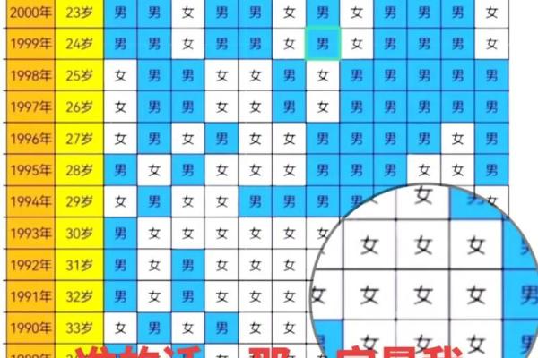 属虎与属龙的情侣缘分如何？探讨生肖相配的真实情况