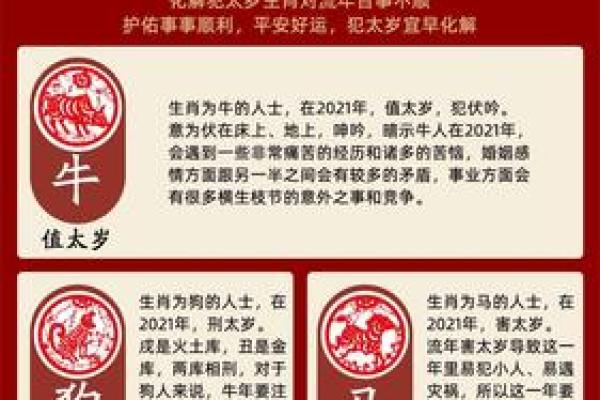 皇后象征的生肖是什么？深入解析其中的含义