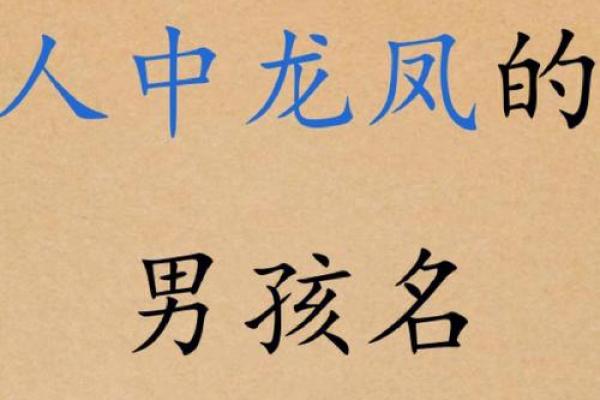 龙凤宝宝命名攻略：根据生肖选择合适的名字