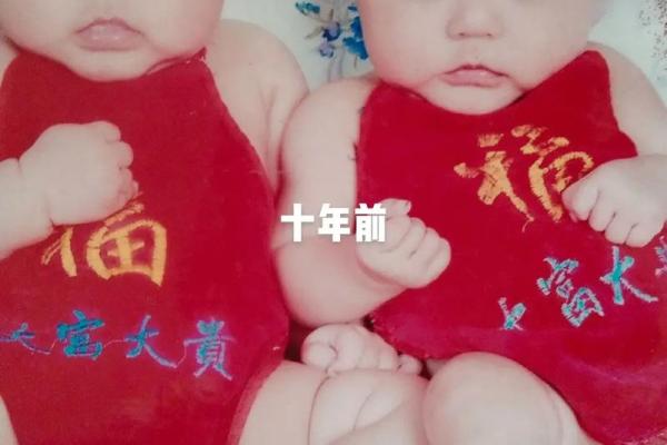 龙凤宝宝命名攻略：根据生肖选择合适的名字