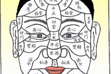 胡子面相的秘密：剖析不同胡须风格背后的性格特征