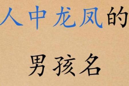 龙凤宝宝命名攻略：根据生肖选择合适的名字