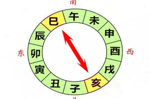 甲寅日命理解析：如何理解甲木与寅木的相生关系