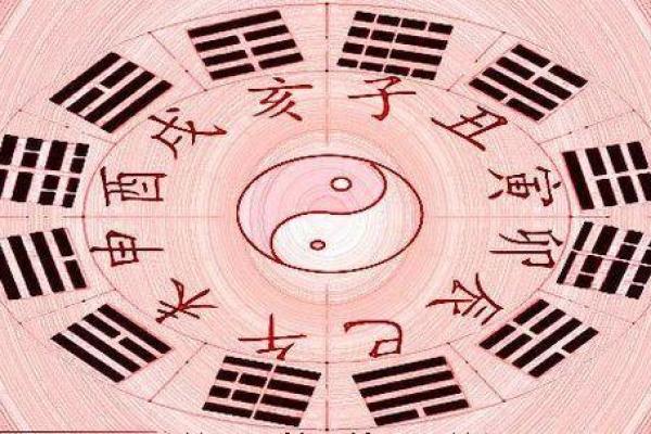 从骨命是豹骨看个人命运与命理学