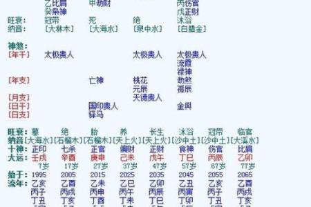 属龙命理详解：如何发挥五行优势