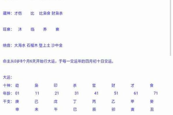 八字排盘软件下载与命理解析全攻略