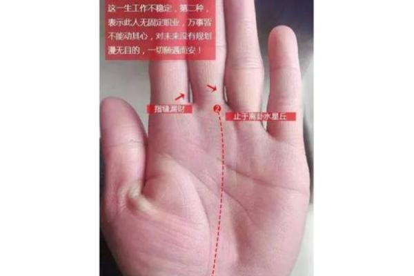 经商之道，手相揭示你的财富命运